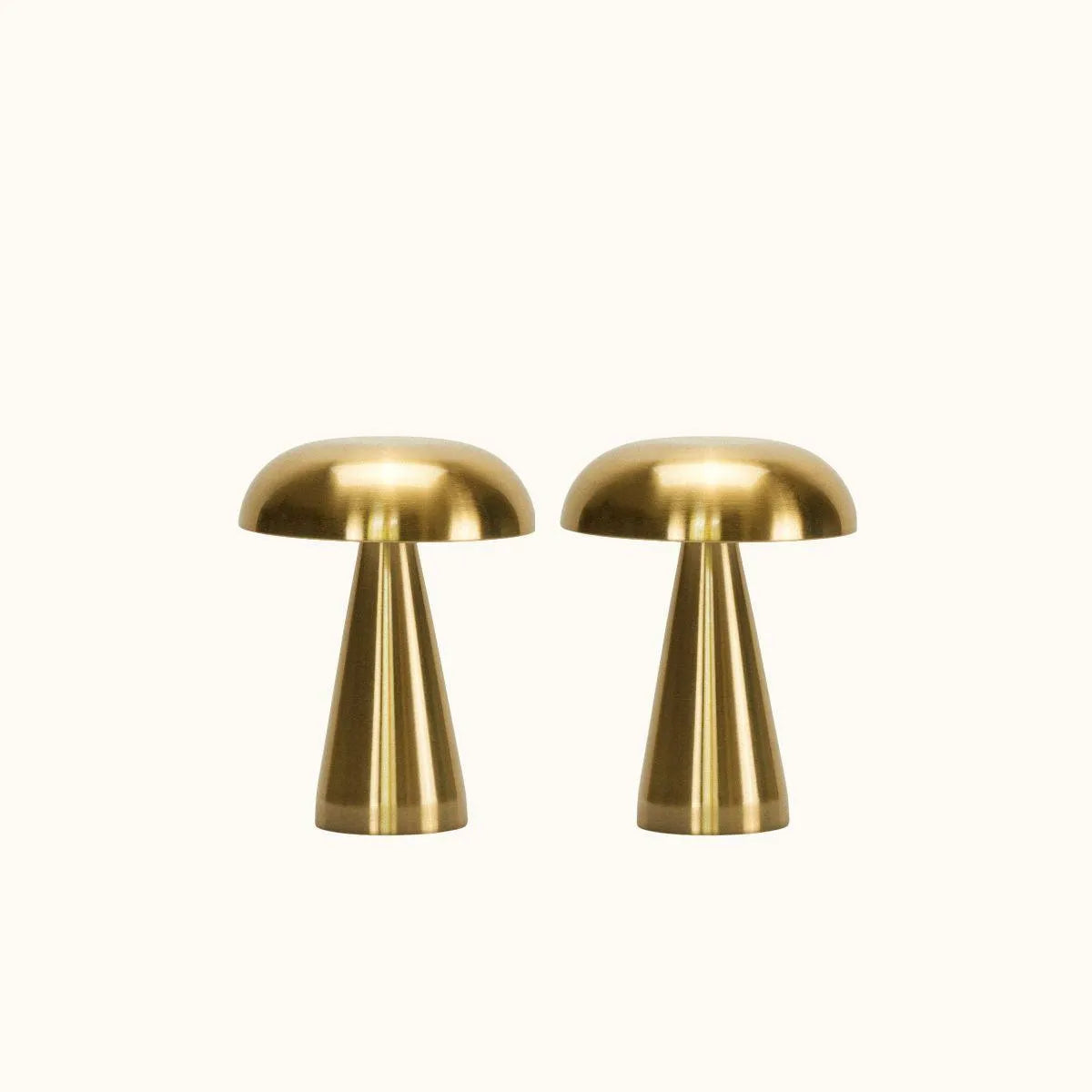 Brassy Gouden Lamp Duo