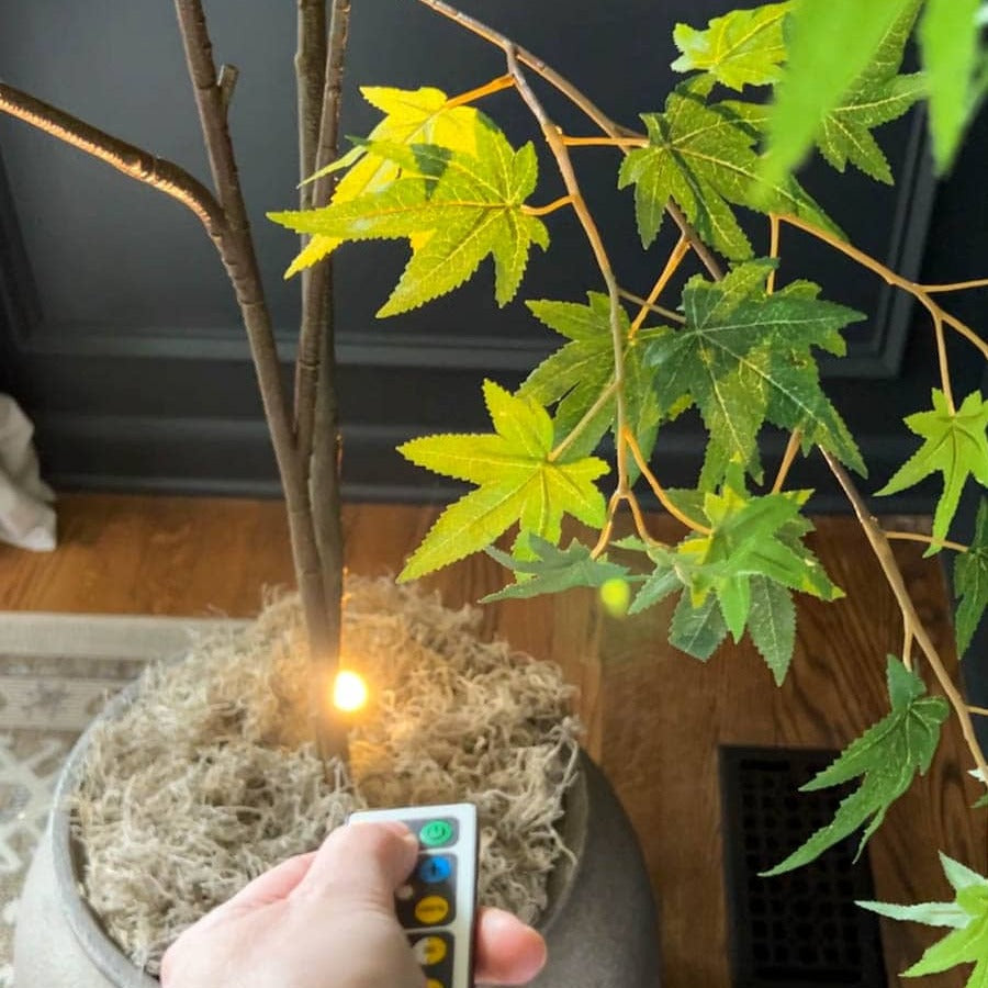Gebruiksvriendelijke LED-spot