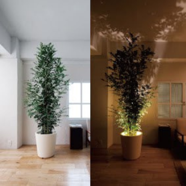 Gebruiksvriendelijke LED-spot