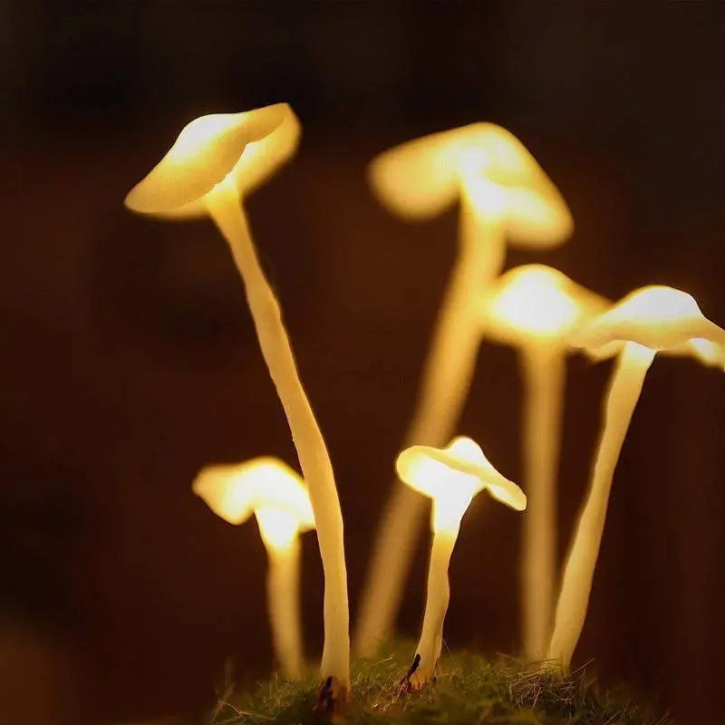 MycoGlow | Unieke paddenstoel lamp