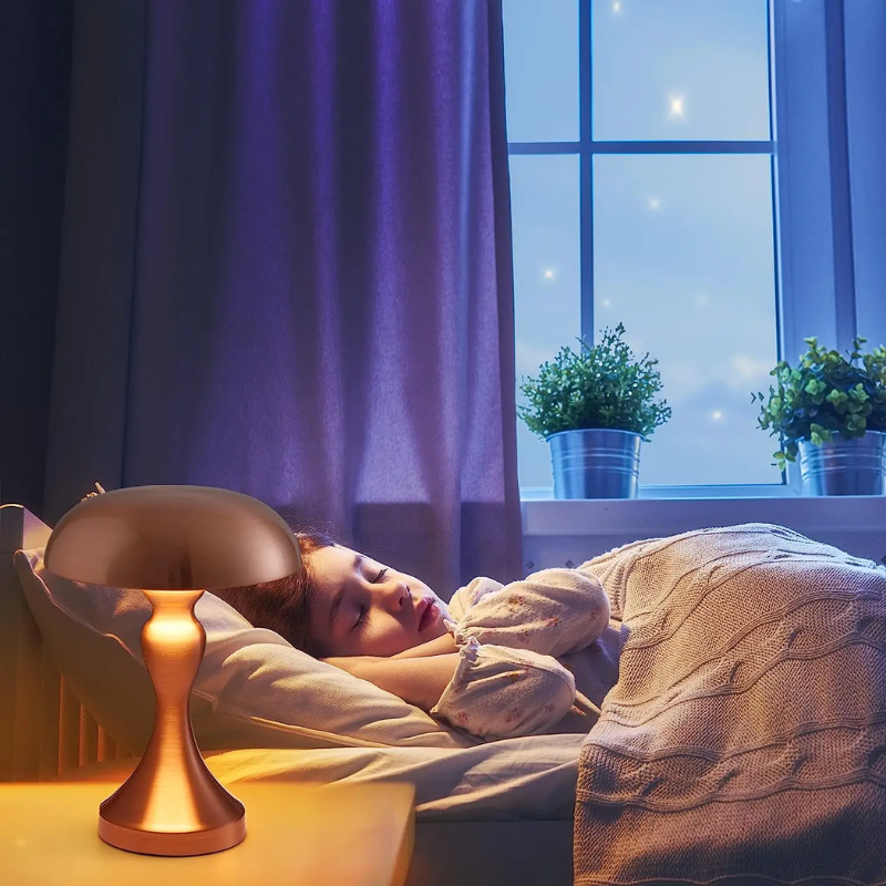 LumiaNacht | Stijlvolle LED leeslamp met flexibele arm en aanraakbediening