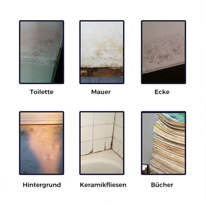 MoldGuard Foam | Effectief antischimmelreinigingsschuim