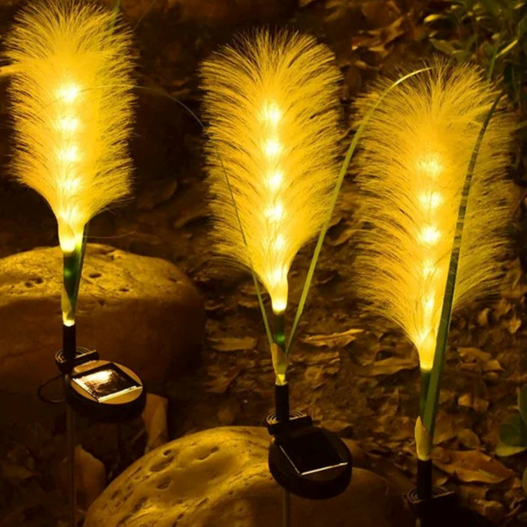 FibreGlow | Decoratieve glasvezelverlichting op zonne-energie voor tuinen