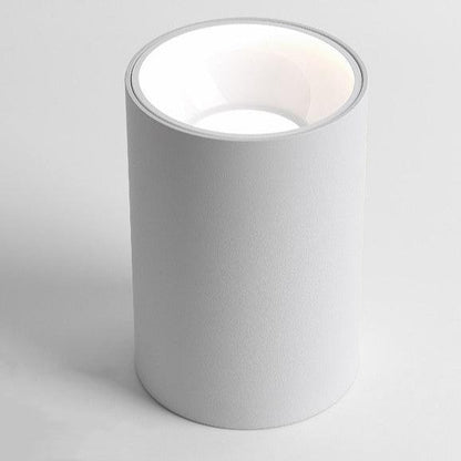 Ronde kolf plafondlampen