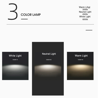 PetalGlow | Artistieke LED wandlamp