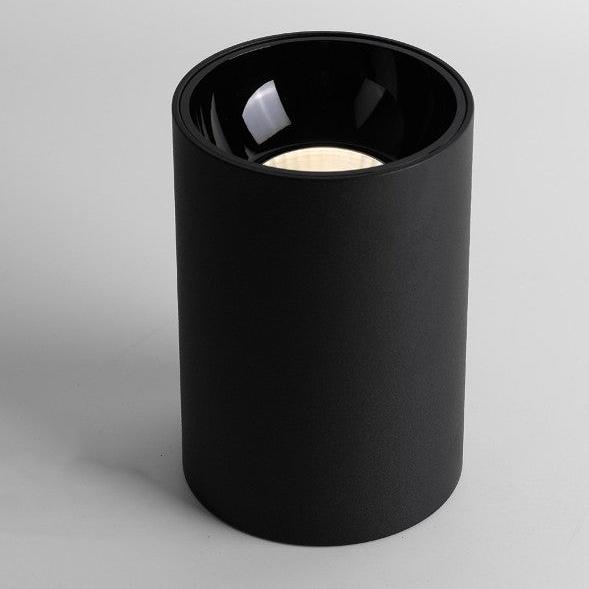 Ronde kolf plafondlampen