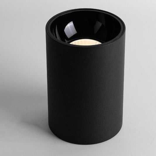 Ronde kolf plafondlampen