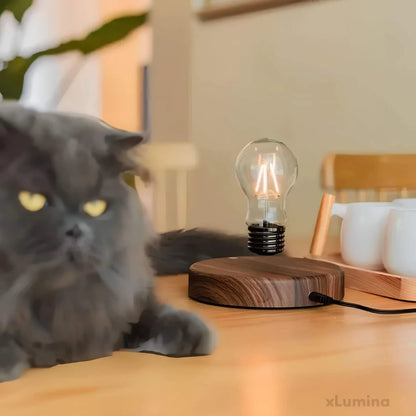 Zwevende lamp - Tafellamp met houten basis